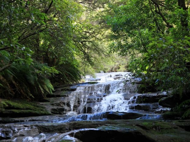 Blue Mountains NSW Australia scenery credit Tourism Australia (1)
