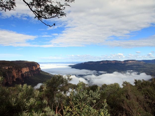 Blue Mountains scenery NSW Australia credit David ireland Tourism Australia (1)