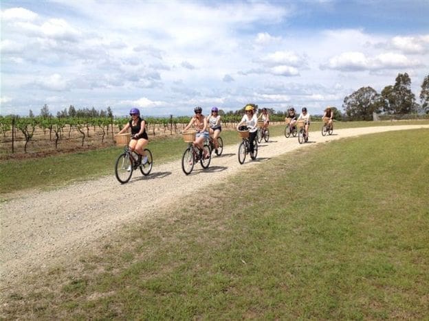 Spicers Vineyard Estate Hunter Valley Cycling Hunter Valley