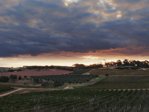 The Louise - South Australia Barossa vineyard view - Photographer Extramile Pictures