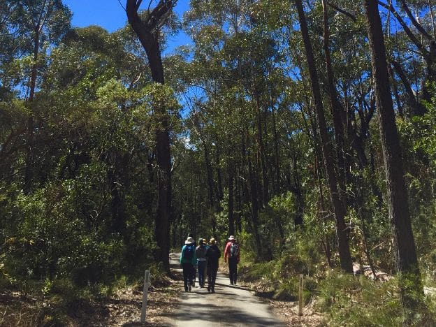 Bangalay Villas -Amber-Jenks Canberra Southern Highlands Guided Bush Walk
