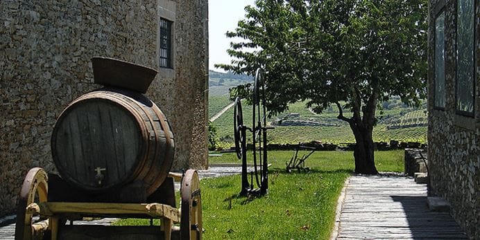 viking-round-the-world-cruise-portugal-river-gold-counrtyside