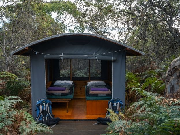 The Maria Island Walk-camping-hut-26