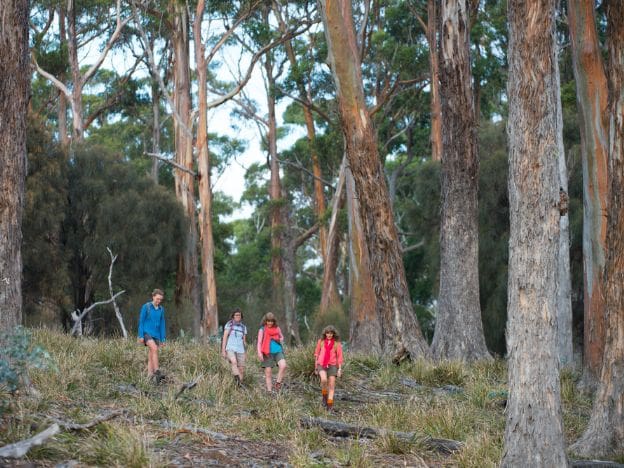 The_Maria_Island_Walk_wilderness