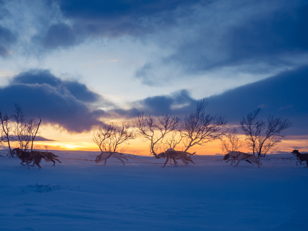 Hurtigruten_North-Cape-Express_6