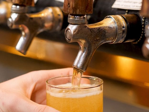 Matakana Craft beer (75)