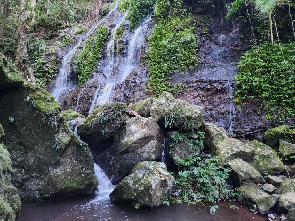 Scenic Rim Queensland Australia walking trail