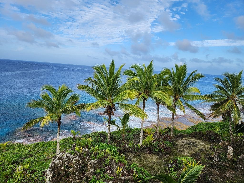 Niue with stunning views
